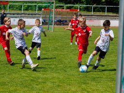 Hillen Cup 2024